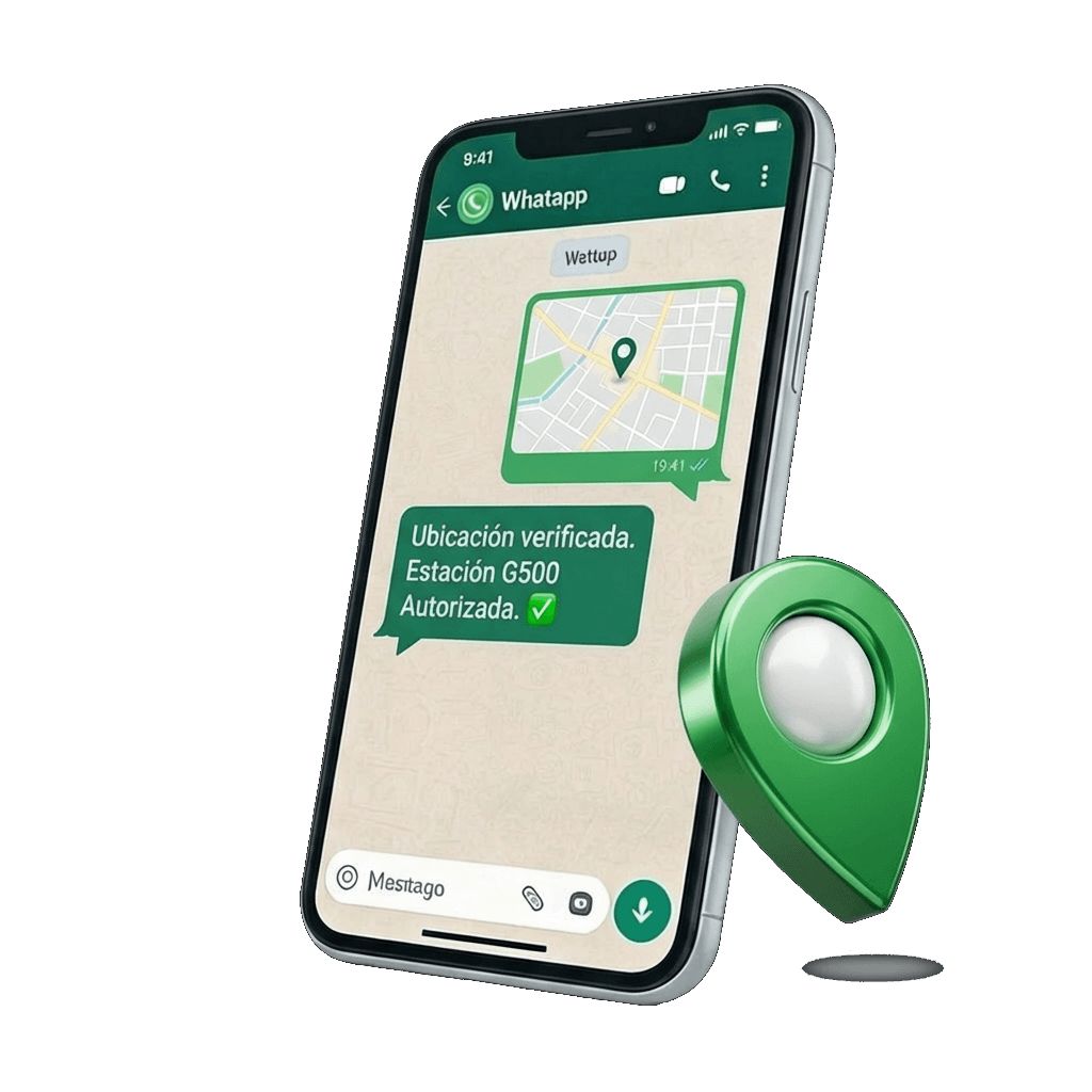 Auditoría Geográfica